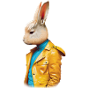 Mr Rabbit