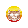 Cat Dad