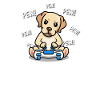 Yellow Lab