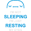 im not sleeping Quote