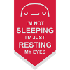 im not sleeping quote