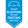 im not sleeping quote