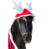 Weihnachtspony