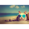 Katze mit Sonnenbrille