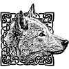 Wolf grey