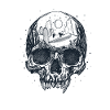 Space Skull Desert Esoteric Cosmos