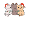 Chat Noël Animaux Chats mignons