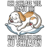 Ich Schlafe Hund