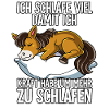 Ich Schlafe Pferd