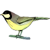 Vogel