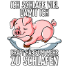 Ich Schlafe Schwein