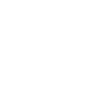 Venezia