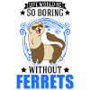 Ferret lover Ferret Gift