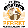 Ferret lover Ferret Gift