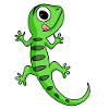 Gecko Lizard