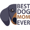 Dog Hund