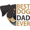 Dog Hund
