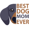 Dog Hund