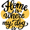 Chien Hund