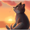 cat watching sunset scene