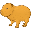 Fluffy Capybara