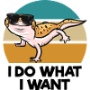 Gecko as a pet