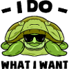 Turtle sayings