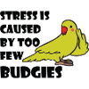 Budgerigar lovers | Birds Pet Gift