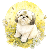 White litle dog