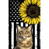 Maine Coon