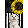Maltese