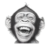 Laughing Monkey Black & White