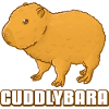 Cuddlybara Capybara