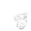 Tiger & Cat line art