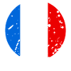 The France Team