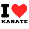 I love karate