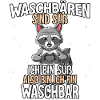 Waschbären Sind Süß Waschbär