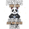 Pandas Sind Süß Panda
