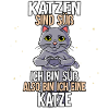 Katzen Sind Süß Katze