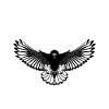 Krav Maga Eagle