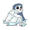 Penguin Penguins Seabird Seabirds