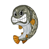 Pike Fish Angler Fishing
