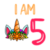 5ème anniversaire fille 5 ans