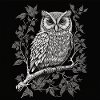 Black and White Owl Drawing