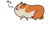 Hamster