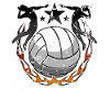Volley-ball