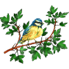 Bunter Vogel