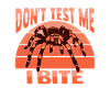 Tarantulas Terrarium Tarantula
