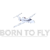 Né pour voler, avion