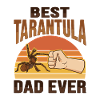 Tarantulas Terrarium Tarantula
